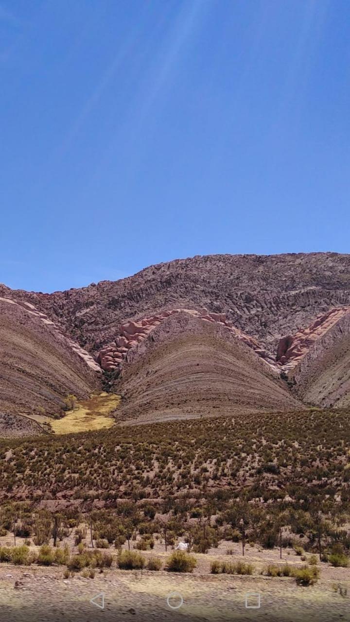Apartament Bajo La Vina San Salvador de Jujuy Zewnętrze zdjęcie